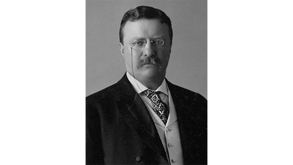 Image: Portrait of Theodore Roosevelt.