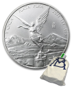 Silver Coin Mexican Libertad 2013 - 1 oz