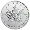 Platinum Coin Maple Leaf - 1 Ounce