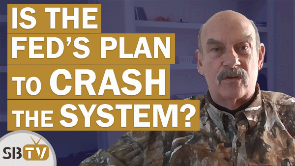Bill Holter - Perhaps the Fed's Plan is to Crash the System