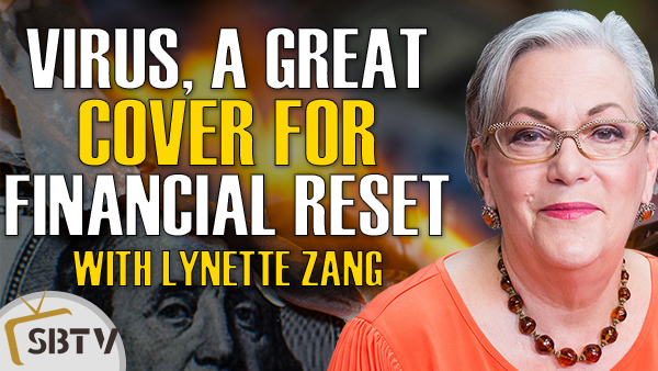 Lynette Zang - Pandemic Is A Great Cover For A Financial System Reset
