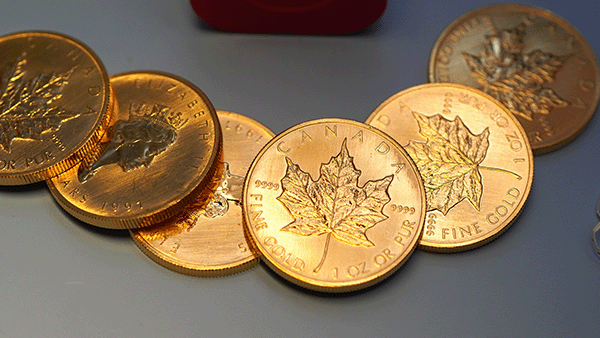 gold-maple-leaf-coins